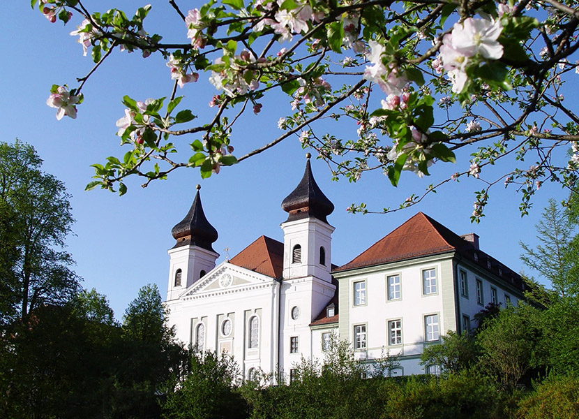 Kloster mit Apfelblüte